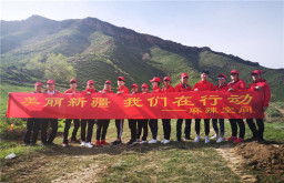 “绿化新疆，我们在行动”三亿官网乌市区域公益活动